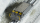 MEX 2253 000+L1 - Ladegut Schotter für Selbstentladewagen 2-achsig BEMO 2253 xxx , grau - oben spitz