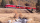BEMO 1359 109 - RhB Ge 4/4 III 649 "Lavin" Elektrolokomotive, rot - DIGITAL mit SOUND